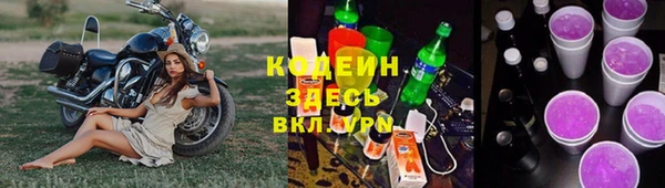 прущие грибы Алзамай