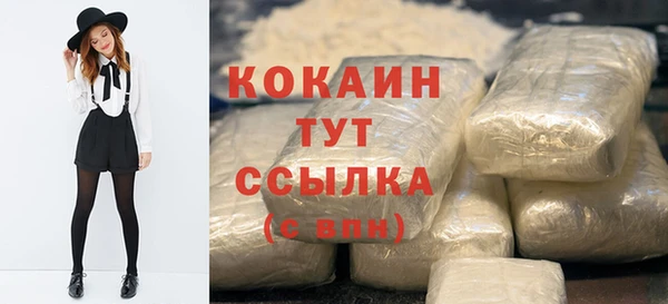 гашик Абаза