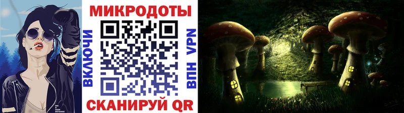 Псилоцибиновые грибы Psilocybine cubensis  где купить наркотик  omg ссылка  Кимовск 