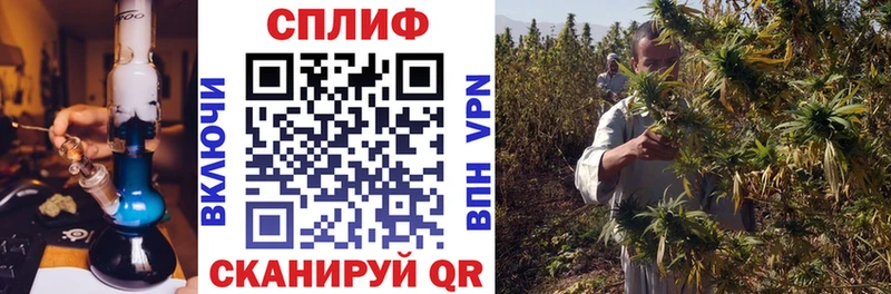 Бошки Шишки индика Кимовск